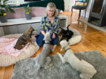 Hunde-Betreuung Hohen Neuendorf-Va-Bene Hundeservice