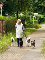 Hunde-Betreuung Hohen Neuendorf-Va-Bene Hundeservice